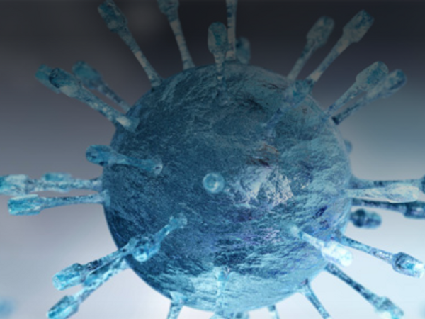 Virus Circulantes Mayo 2026